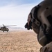 1st Combat Aviation Brigade transports 2nd Battalion, 12th Infantry Regiment along the southern border