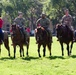 1st Infantry Division Artillery &quot;Drumfire&quot; Change of Command Ceremony