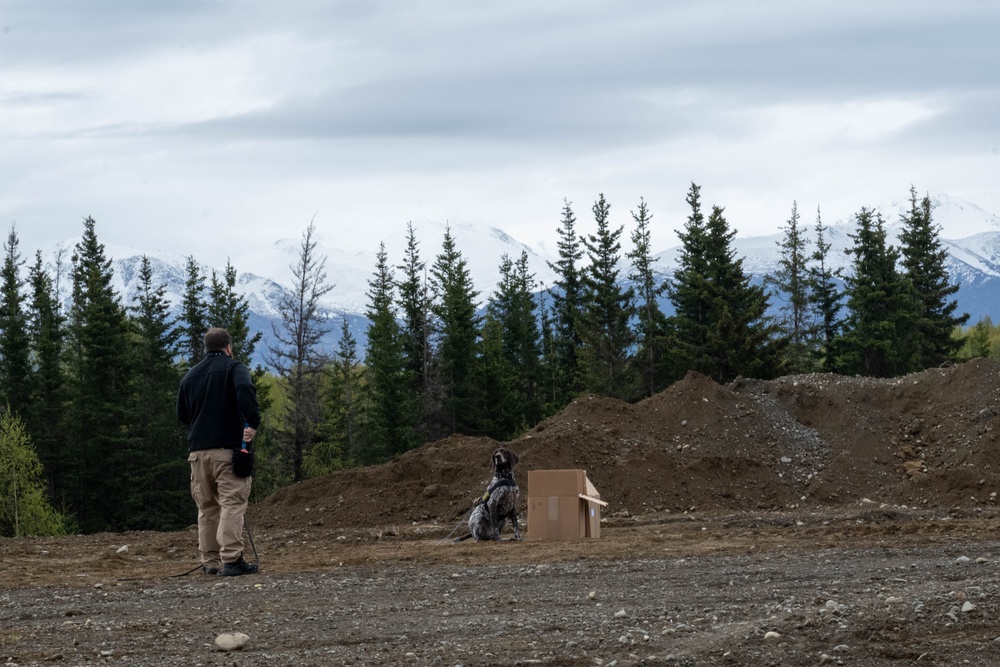 K-9 Units train with Explosive Ordnance Disposal on JBER