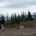 K-9 Units train with Explosive Ordnance Disposal on JBER
