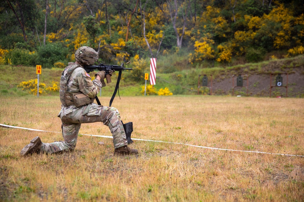 17th Field Artillery Brigade Best By Competition 2025