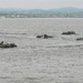 QUART: ACVs Splash From USS Harpers Ferry