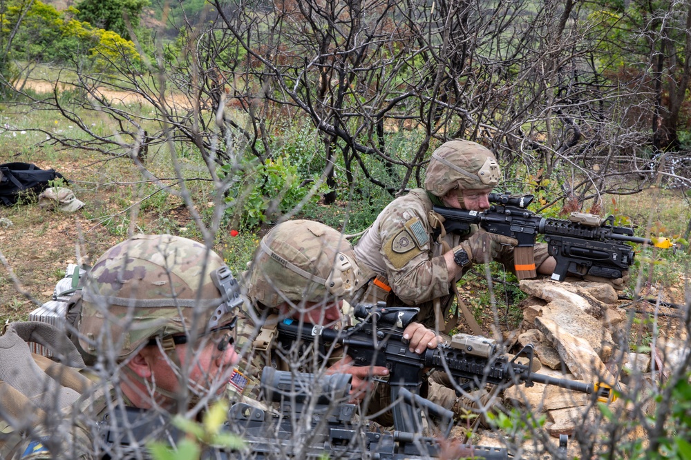 Immediate Response 25: Charlie Company 3/172 Infantry, Mountain and 3rd Infantry Regiment Kosovo conduct Indirect and Direct Fire Exercise.