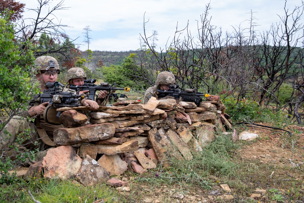 Immediate Response 25: Charlie Company 3/172 Infantry, Mountain and 3rd Infantry Regiment Kosovo conduct Indirect and Direct Fire Exercise.