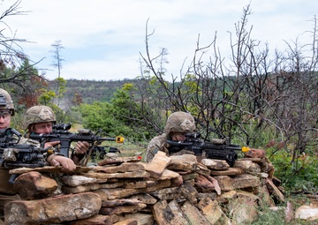 Immediate Response 25: Charlie Company 3/172 Infantry, Mountain and 3rd Infantry Regiment Kosovo conduct Indirect and Direct Fire Exercise.
