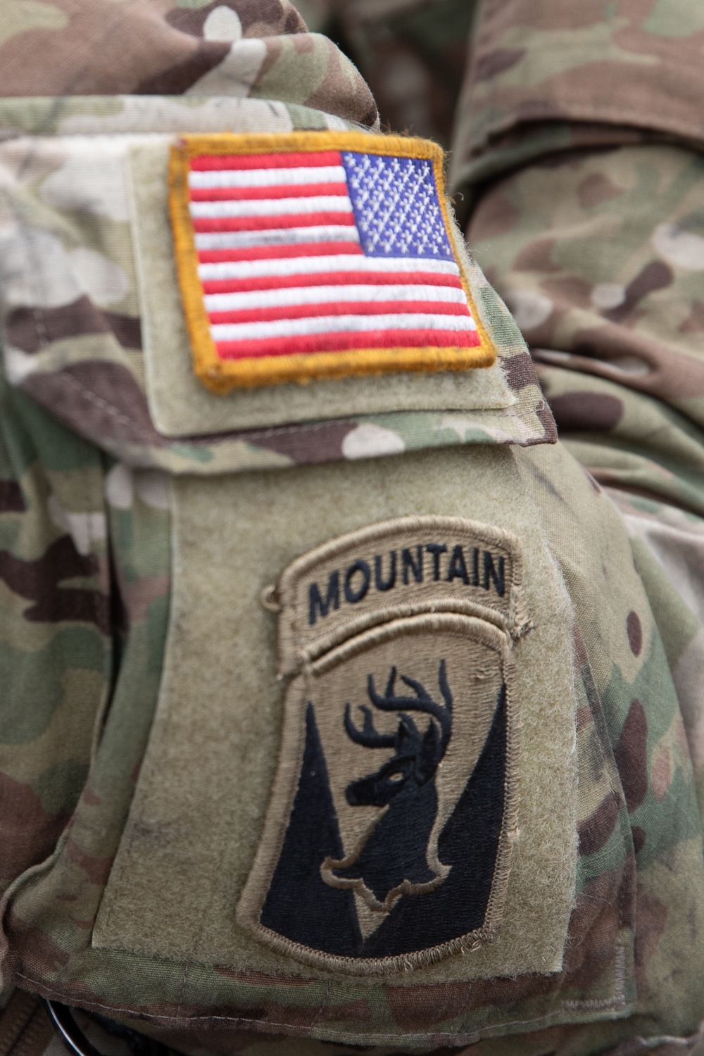 Immediate Response 25: Charlie Company 3/172 Infantry, Mountain and 3rd Infantry Regiment Kosovo conduct Indirect and Direct Fire Exercise.