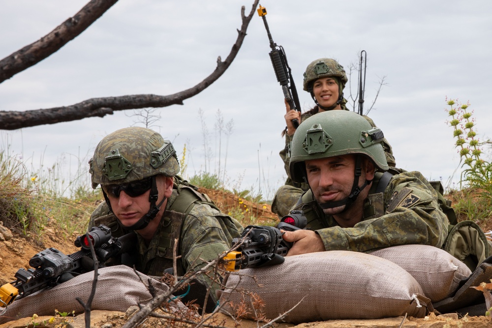 Immediate Response 25: Charlie Company 3/172 Infantry, Mountain and 3rd Infantry Regiment Kosovo conduct Indirect and Direct Fire Exercise.