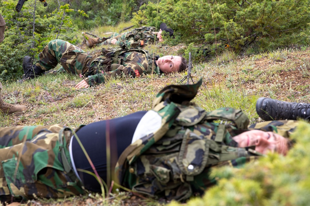 Immediate Response 25: Charlie Company 3/172 Infantry, Mountain and 3rd Infantry Regiment Kosovo conduct Indirect and Direct Fire Exercise.