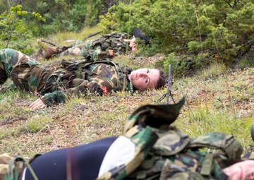 Immediate Response 25: Charlie Company 3/172 Infantry, Mountain and 3rd Infantry Regiment Kosovo conduct Indirect and Direct Fire Exercise.