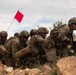 U.S. Soldiers Conduct Company STX During Balkan Sentinel