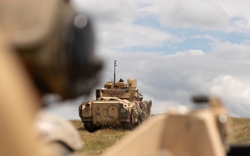 U.S. Soldiers Conduct Company STX During Balkan Sentinel