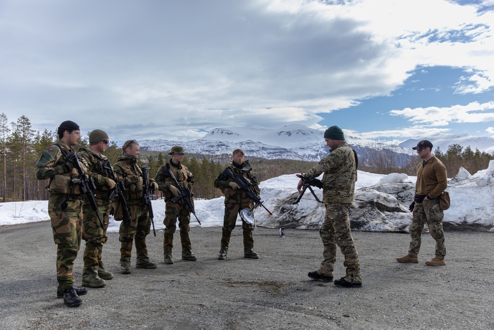 Allies Exchange Tactics And Techniques During Swift Response