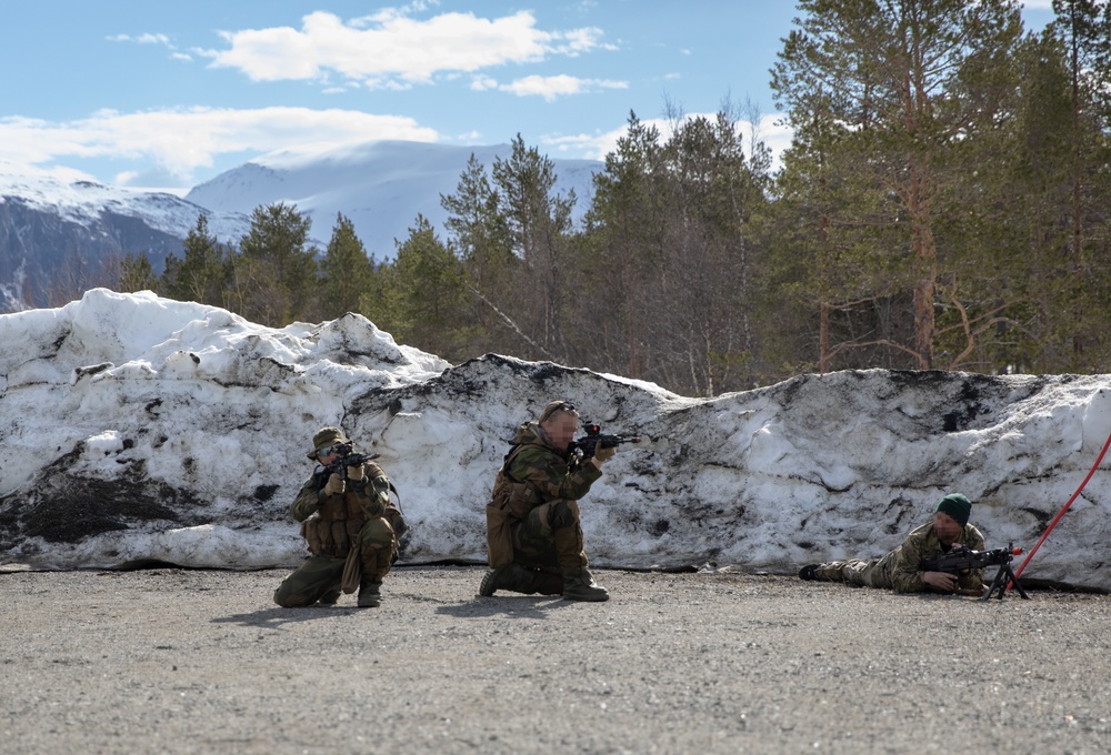 Allies Exchange Tactics And Techniques During Swift Response