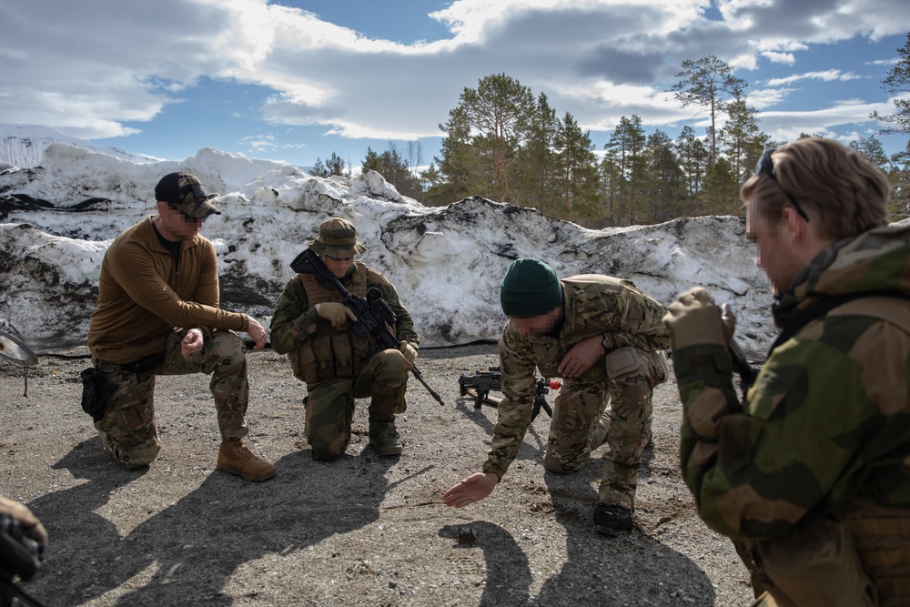 Allies Exchange Tactics And Techniques During Swift Response