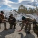 Allies Exchange Tactics And Techniques During Swift Response