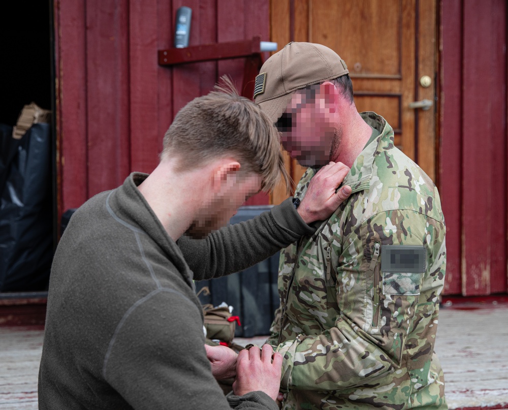 Allies Exchange Tactics And Techniques During Swift Response