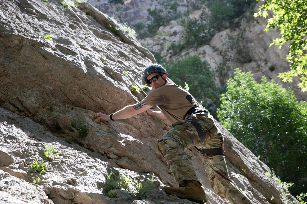 Immediate Response 2025