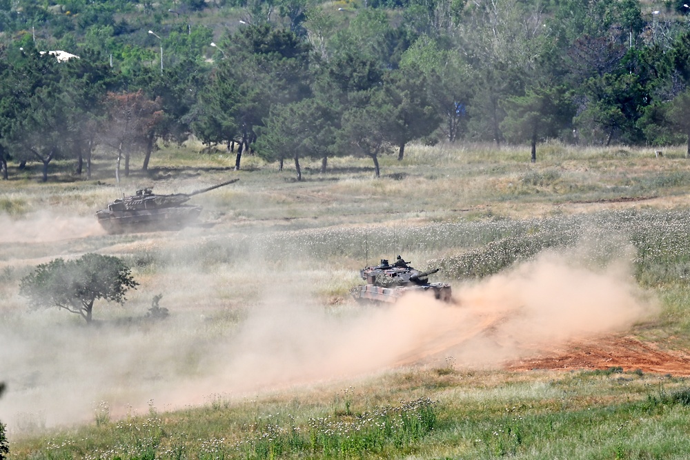 Immediate Response 25 - Petrochori, Greece