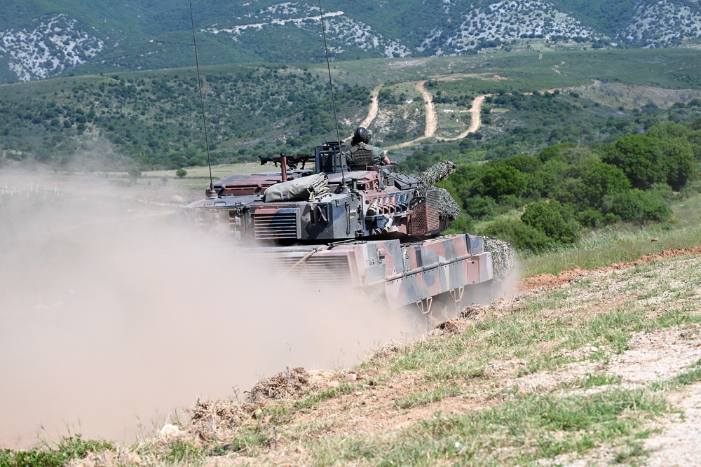 Immediate Response 25 - Petrochori, Greece