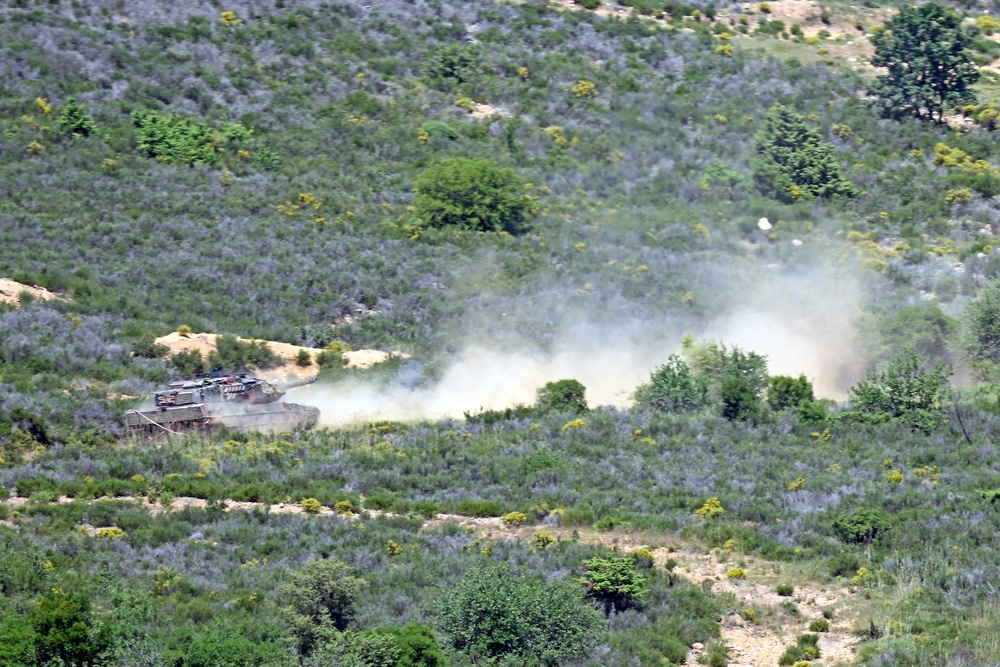 Immediate Response 25 - Petrochori, Greece