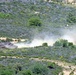 Immediate Response 25 - Petrochori, Greece