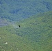 Immediate Response 25 - Petrochori, Greece