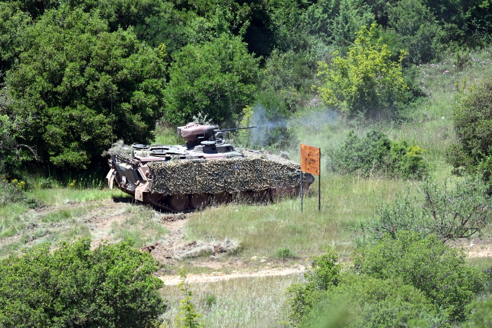 Immediate Response 25 - Petrochori, Greece