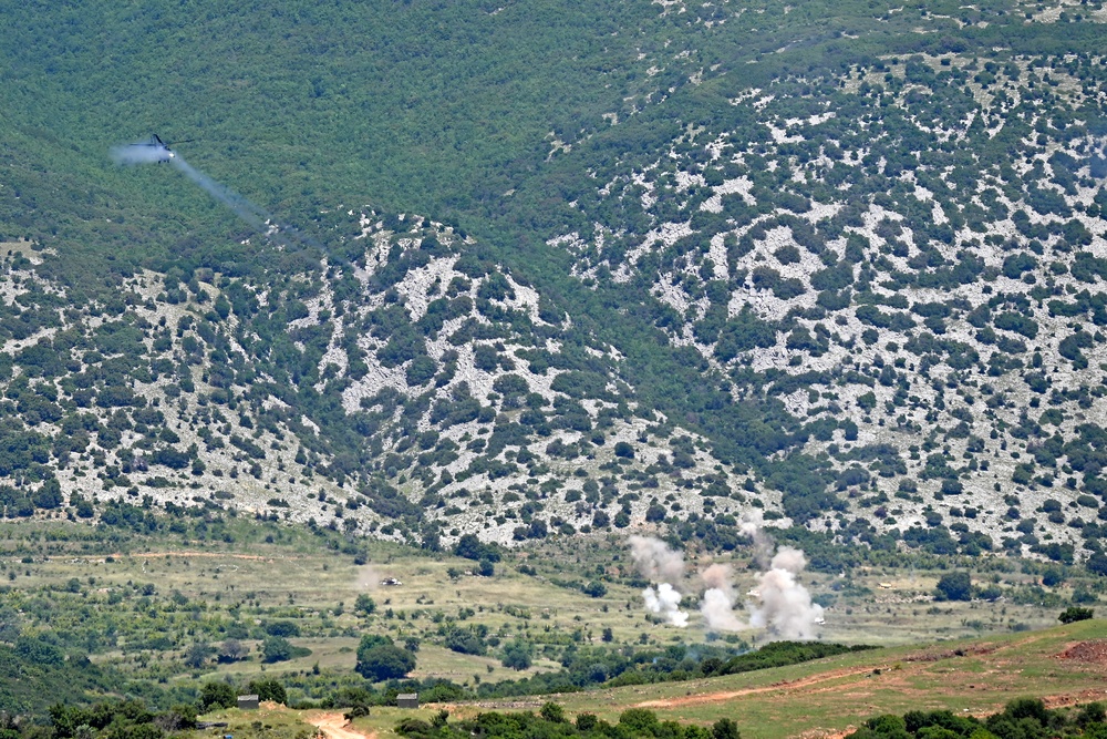 Immediate Response 25 - Petrochori, Greece