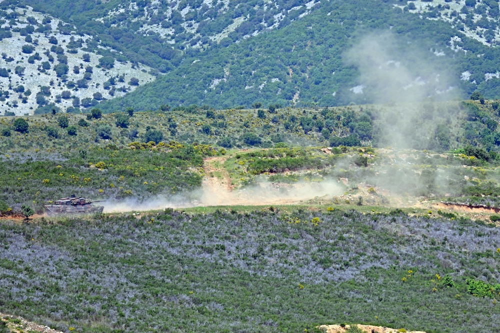 Immediate Response 25 - Petrochori, Greece