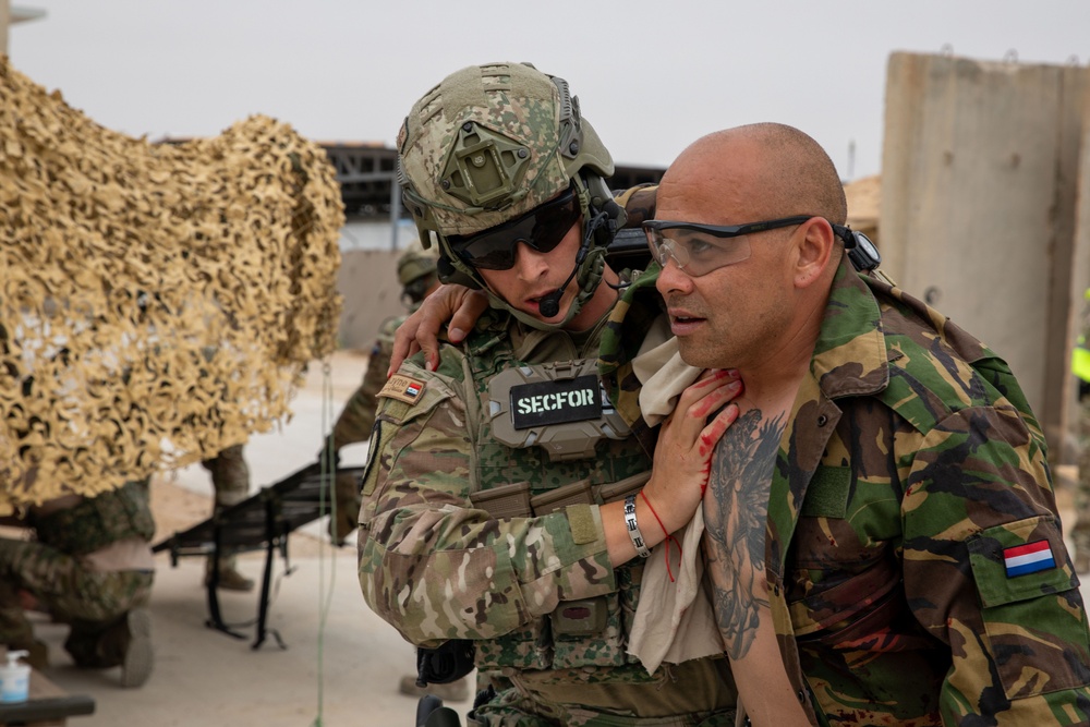 Task Force Lion and Odin Conduct MEDEVAC Exercise