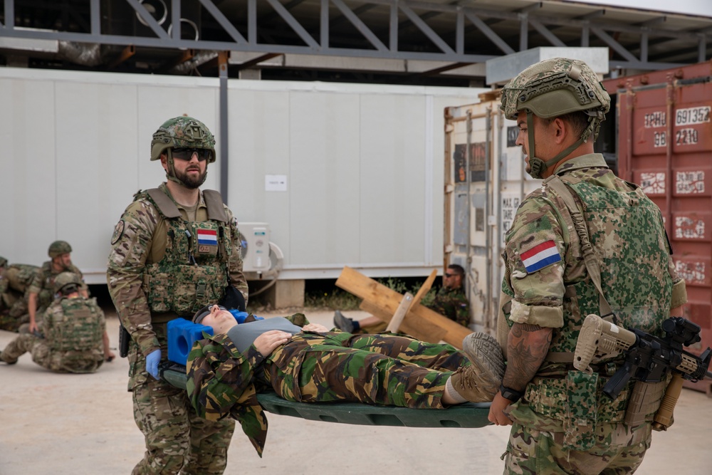Task Force Lion and Odin Conduct MEDEVAC Exercise