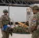 Task Force Lion and Odin Conduct MEDEVAC Exercise
