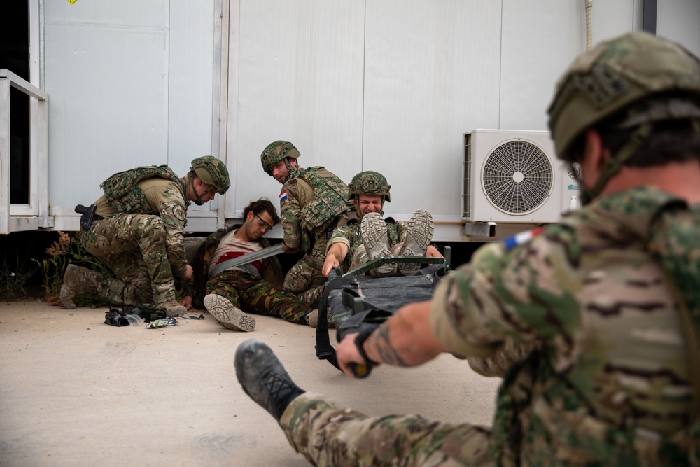 Task Force Lion and Odin Conduct MEDEVAC Exercise