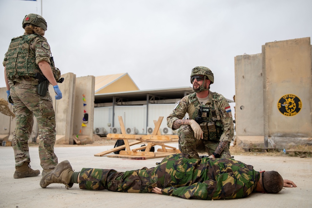 Task Force Lion and Odin Conduct MEDEVAC Exercise