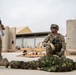 Task Force Lion and Odin Conduct MEDEVAC Exercise