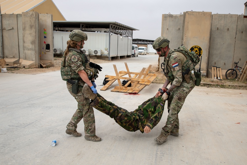 Task Force Lion and Odin Conduct MEDEVAC Exercise