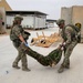 Task Force Lion and Odin Conduct MEDEVAC Exercise