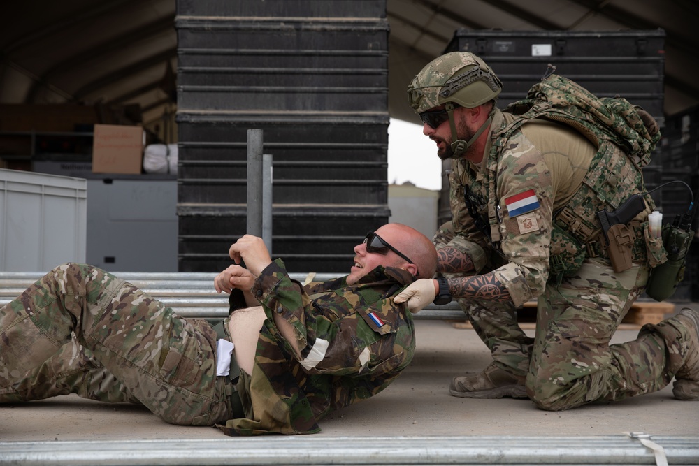 Task Force Lion and Odin Conduct MEDEVAC Exercise