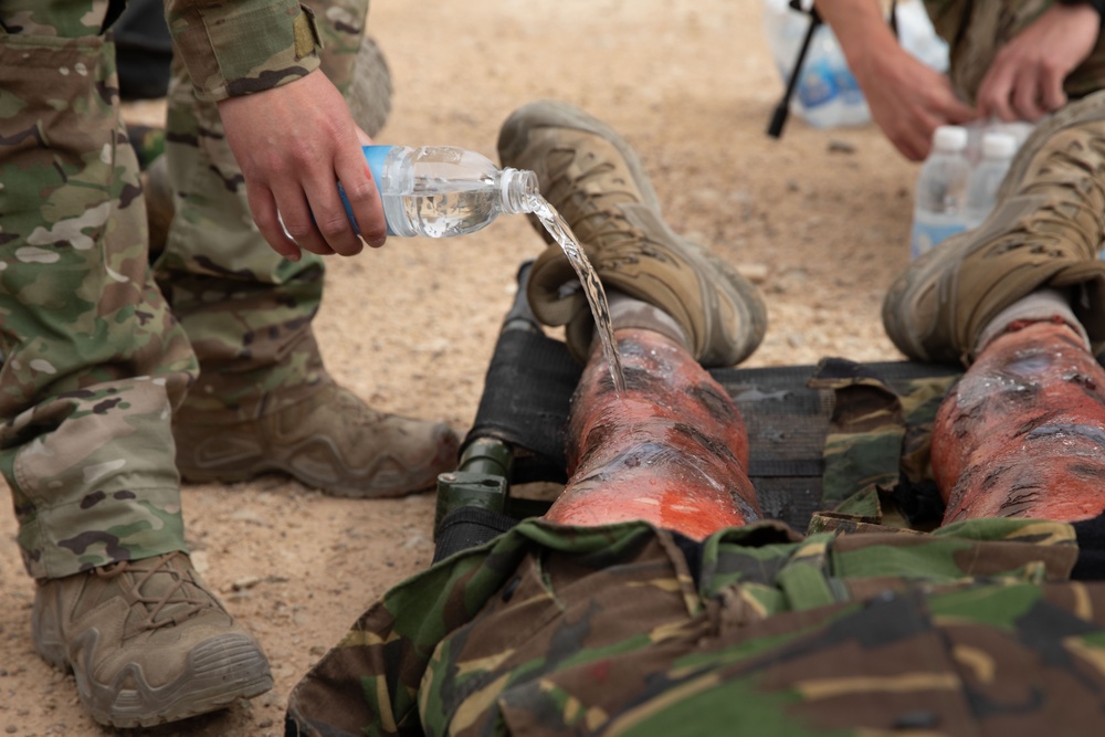 Task Force Lion and Odin Conduct MEDEVAC Exercise