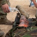 Task Force Lion and Odin Conduct MEDEVAC Exercise