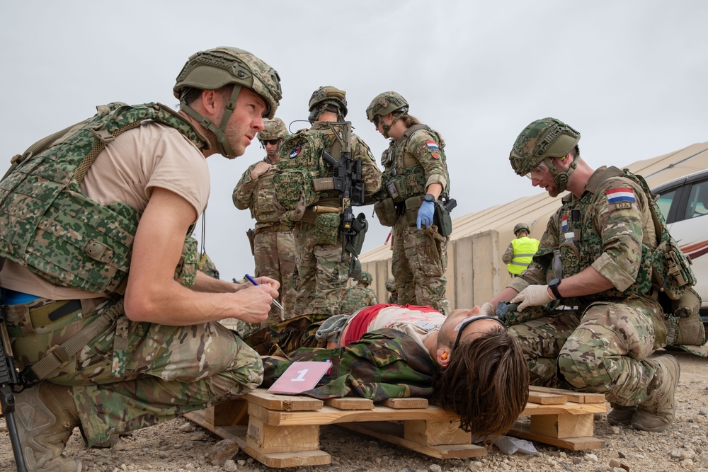 Task Force Lion and Odin Conduct MEDEVAC Exercise