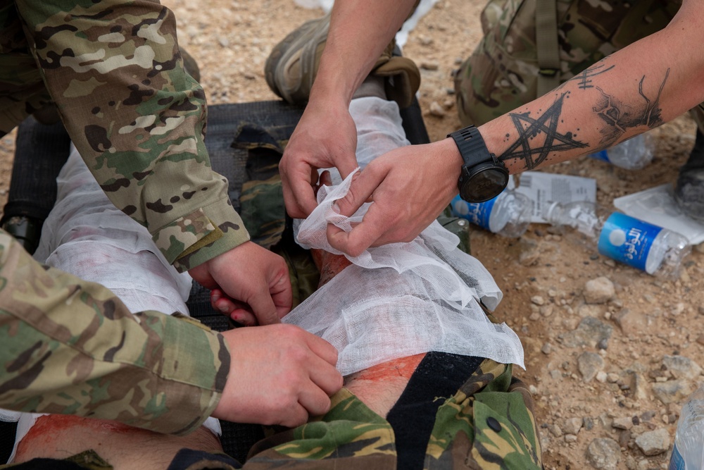 Task Force Lion and Odin Conduct MEDEVAC Exercise