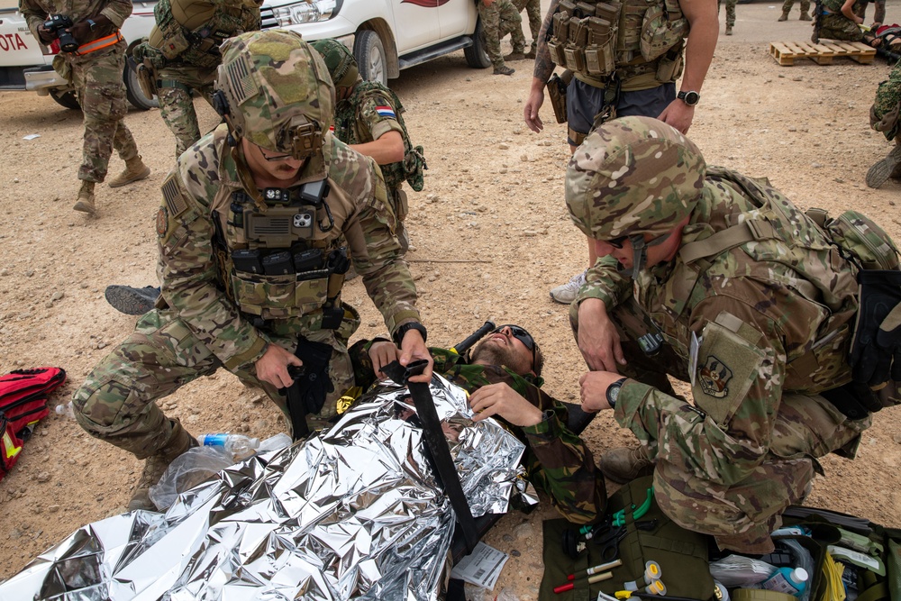 Task Force Lion and Odin Conduct MEDEVAC Exercise