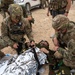 Task Force Lion and Odin Conduct MEDEVAC Exercise