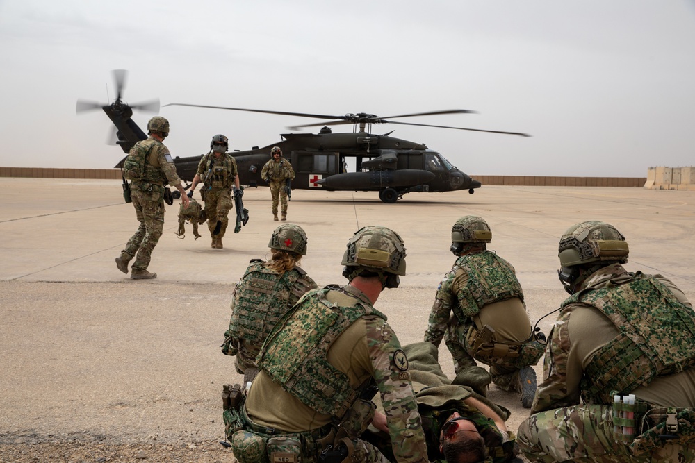 Task Force Lion and Odin Conduct MEDEVAC Exercise