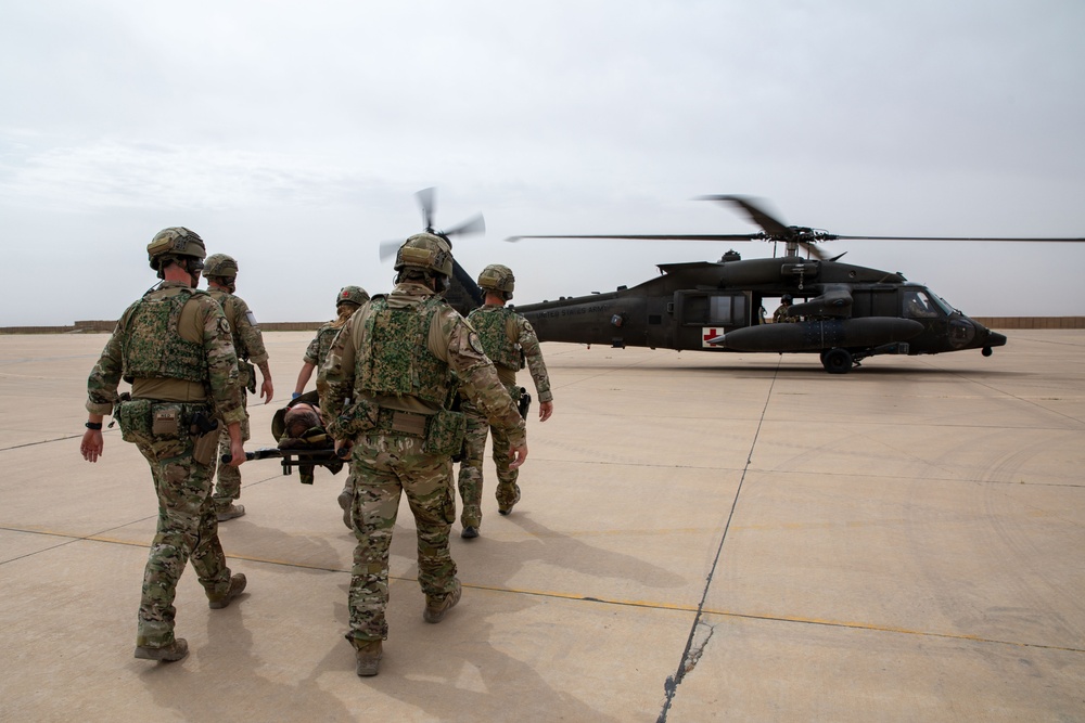 Task Force Lion and Odin Conduct MEDEVAC Exercise
