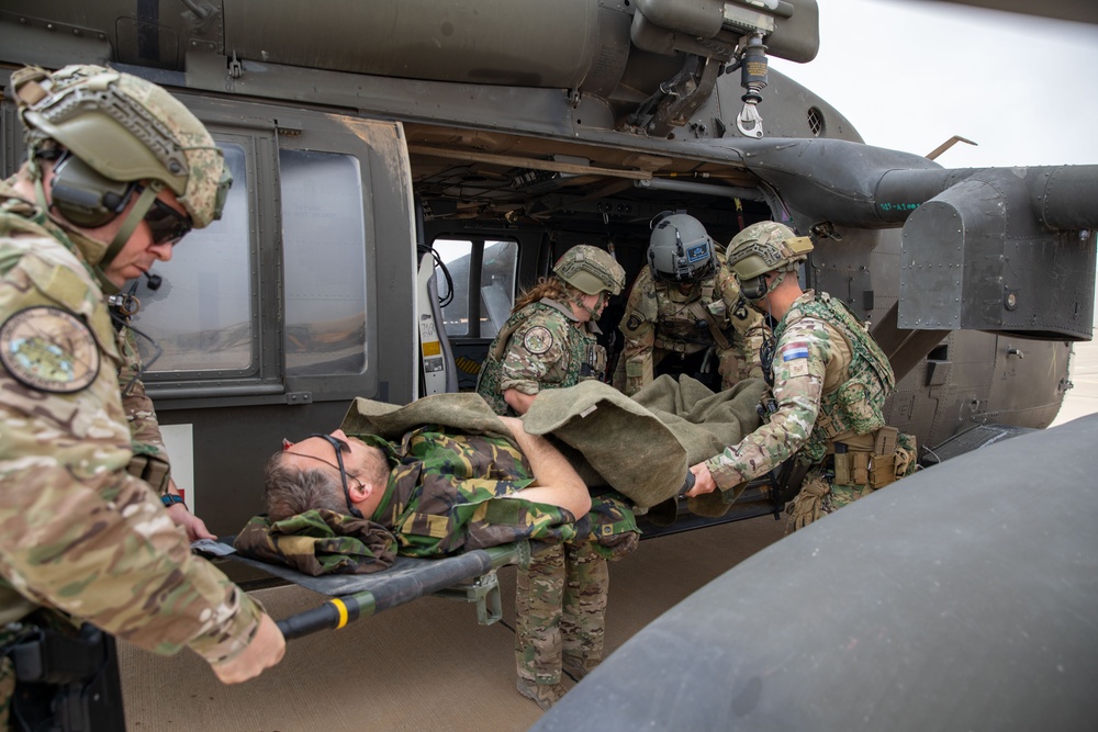 Task Force Lion and Odin Conduct MEDEVAC Exercise