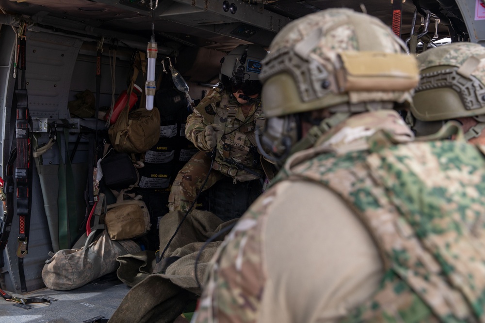 Task Force Lion and Odin Conduct MEDEVAC Exercise