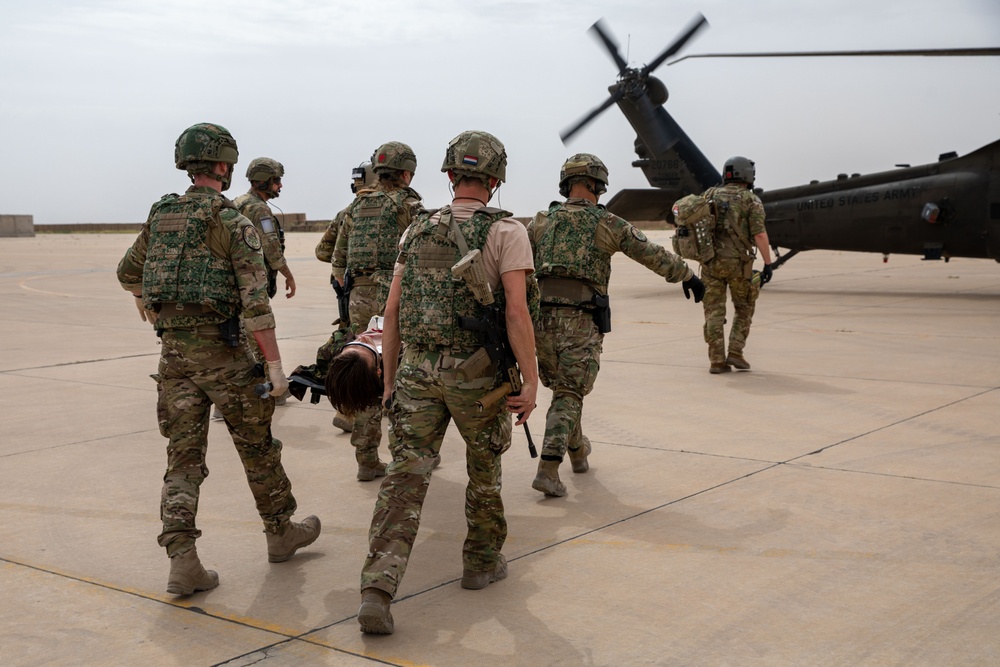 Task Force Lion and Odin Conduct MEDEVAC Exercise