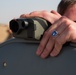 Estonian Defence Forces Conduct Close Air Support Live Fire Exercise